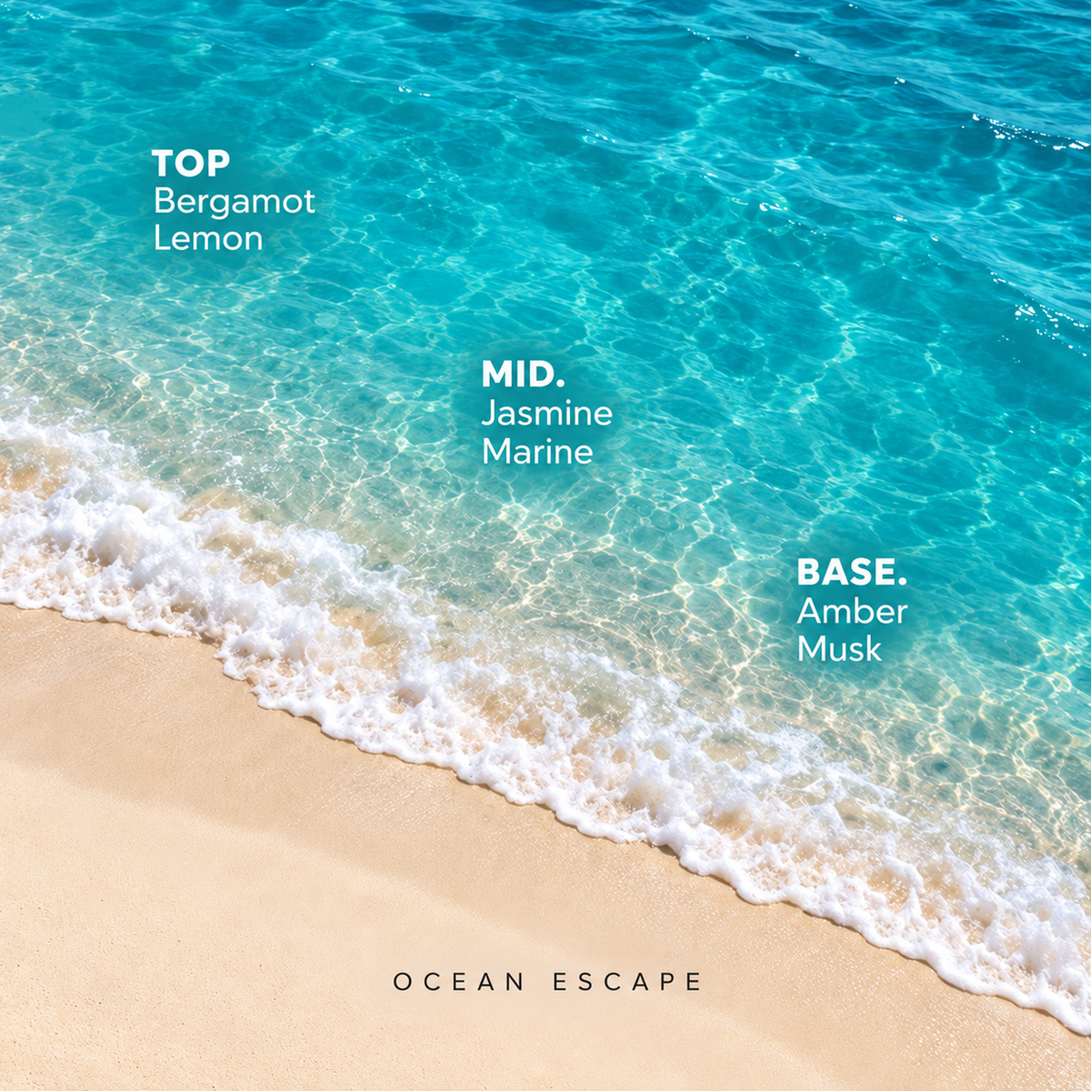Ocean Escape